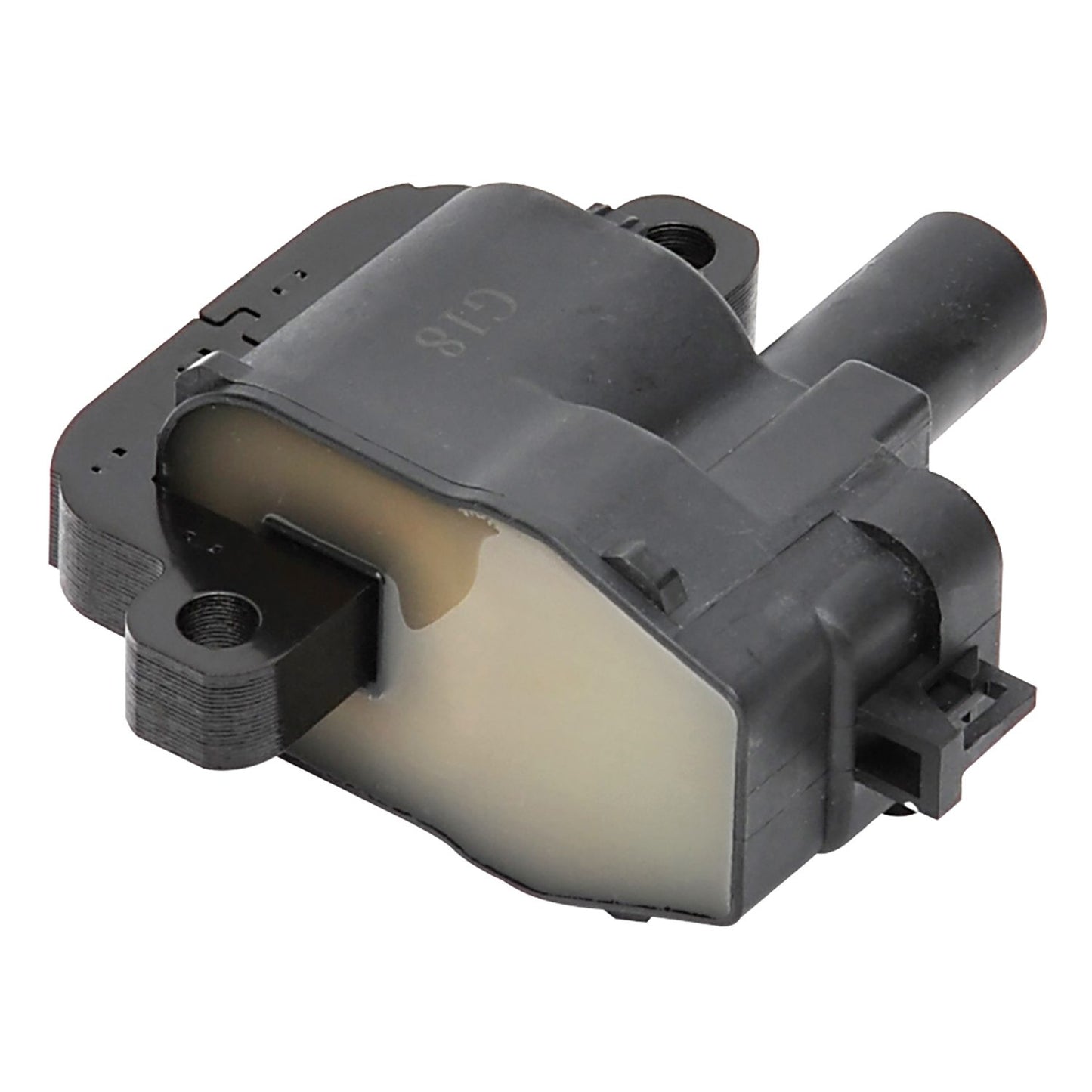 LS1 Ignition coil