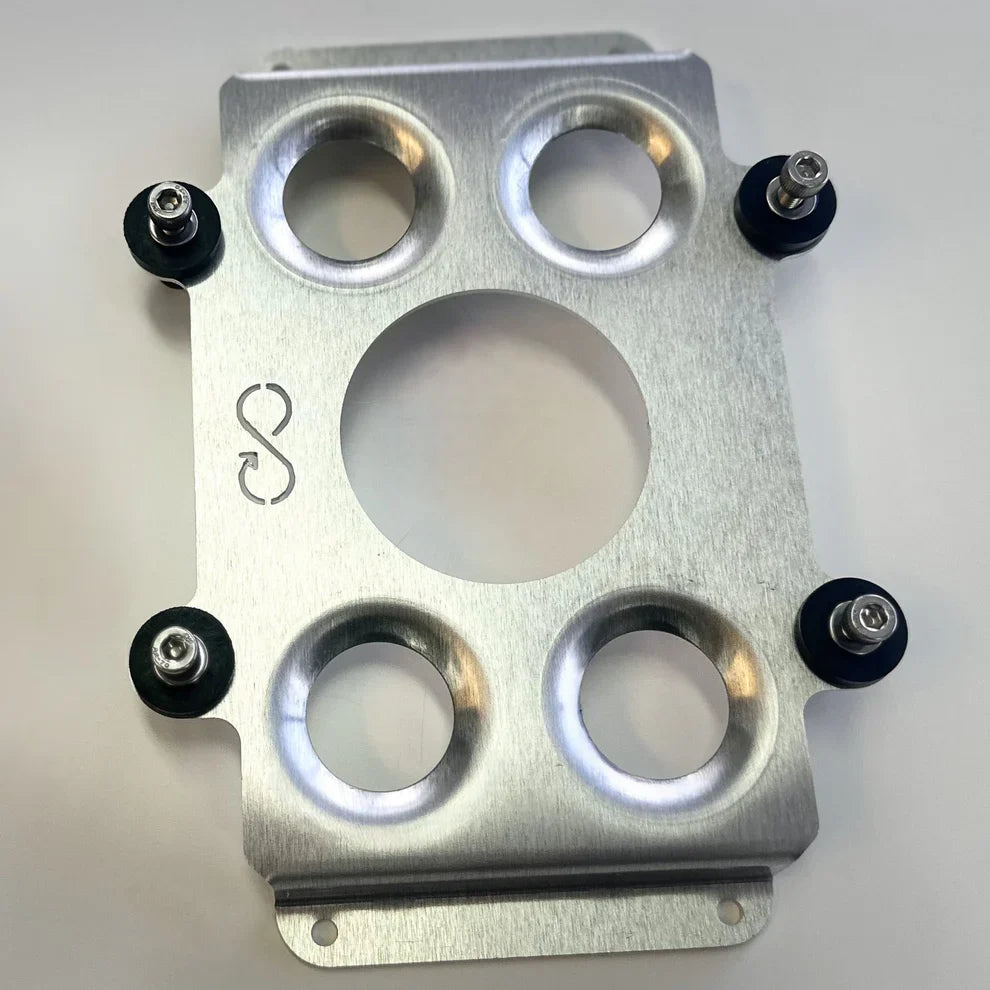 ECU Mounts