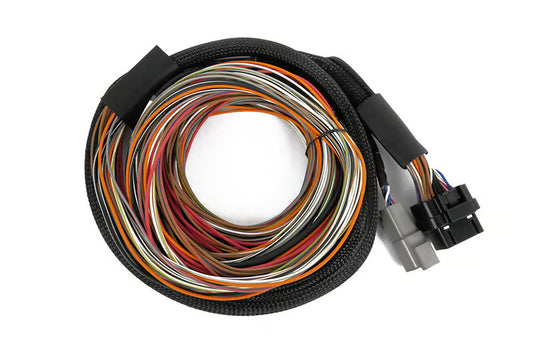 Haltech IO16 Input Output Expander Loom