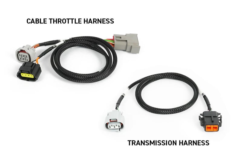 Haltech Nexus Rebel JZ